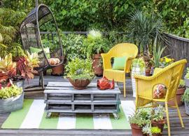 5 Vastu Tips To Follow For Garden at Home