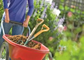 5 Basic Gardening Tools Every Home Gardener Must Have