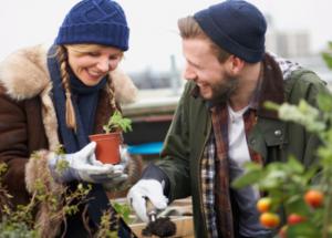 The Easiest Way To Keep Your Garden Healthy During Winters