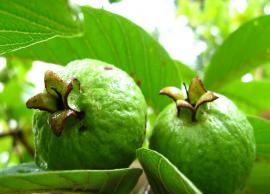 Different Ways To Use Guava Leaves For Amazing Beauty Benefits
