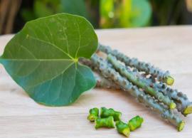 5 Benefits of Giloy, The Queen of Herbs