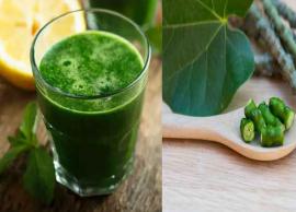 7 Amazing Health Benefits of Giloy Juice