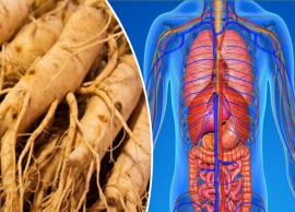 6 Proven Health Benefits of Siberian Ginseng
