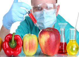 5 Genetically Modified Foods That are Harming Your Health