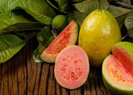 8 Benefits of Eating Guava You Didn't Knew
