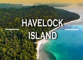 6 Beautiful Places To Explore in Havelock Island