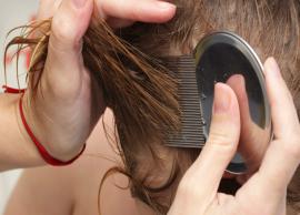 8 Remedies To Get Rid of Lice Permanently at Home