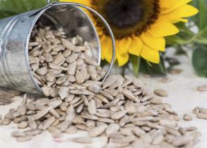 5 Magical Health Benefits of Sunflower Seeds