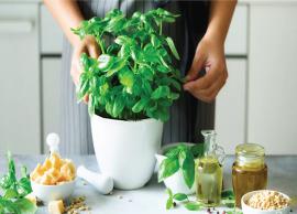 Here are Some Herbs and Their Health Benefits