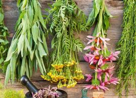 6 Essential Herbs That Will Boost Your Health