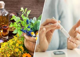 13 Herbs That Can Help Regulate Blood Sugar Levels in Diabetes