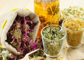 5 Herbs That are Best For Your Skin