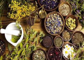 8 Herbs That Are Best For Your Skin