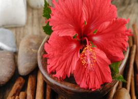 Different Benefits of Hibiscus For Skin & Hair
