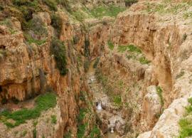 5 Beautiful Places To Go Hiking in West Bank