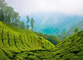 5 Must Visit Breathtaking Hill Stations in South India For Couples
