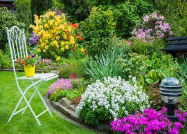 5 Tips To Follow For Home Gardens During Summers