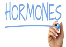 6 Foods That Will Help You Regulate Hormones