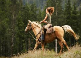 10 Great Reasons To Take Up The Horseback Riding For Good Health