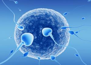 Facing Problem in Conceiving? Try These Tips To Boost Sperm Count