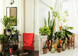 4 Stylish Ways To Use Indoor Plants