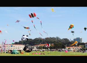 Makar Sankranti- International Kite Festival at Jaipur Rajasthan