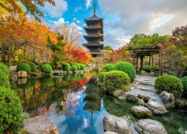 20 Fascinating Facts You Must Know About Japan