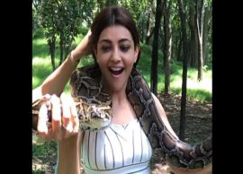 VIDEO- 'Paris Paris’ actress Kajal Aggarwal’s daredevilry video will leave you amazed