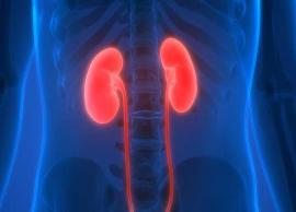 7 Ways We May Be Inadvertenly Harming Our Kidneys