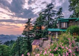 6 Reasons Why You Must Visit Landour