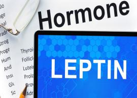 8 Steps To Help You Manage Leptin Levels for Weight Loss