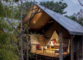 10 Most Luxurious Lodges To Visit in India