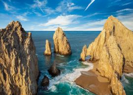 6 Amazing Things To Do in Los Cabos