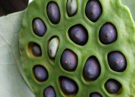 5 Amazing Health Benefits of Lotus Seeds
