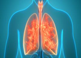 10 Things You Can Do To Keep Your Lungs Healthy