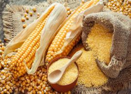 5 Reasons Why Maize Grain Flour is Good For Your Health
