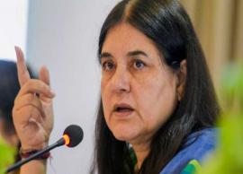 Maneka Gandhi happy about MeToo movement, hopes it doesn’t go out of control