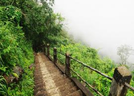 5 Breathtaking Beautiful Treks To Explore in Meghalaya