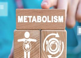 5 Effective Ways To Boost Your Metabolism