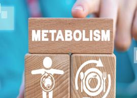 4 Foods That Will Help To Boost Your Metabolism
