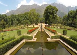 5 Beautiful Mughal Gardens of Jammu and Kashmir 