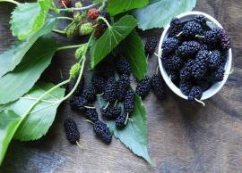5 Health Benefits of Eating Mulberry Fruit