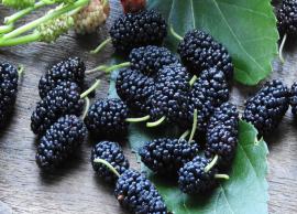 5 Potential Health Benefits of Mulberry