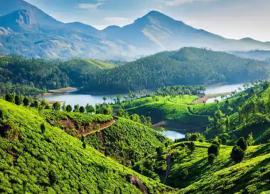 8 Things Not To Miss in Munnar