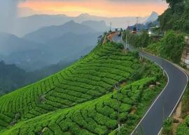 7 Must Visit Places in Munnar