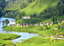 10 Most Beautiful Places To Explore in Munnar