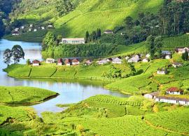 5 Places in Munnar you Can Visit for Honeymoon