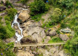 5 Major Attractions To Visit Near Munnar