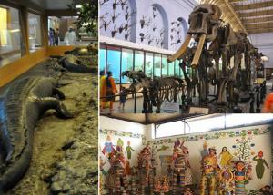 7 Museums in India that Children Too Will Love