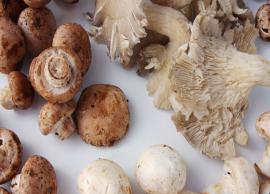 Exploring 7 Types of Mushrooms and Their Potential Health Benefits